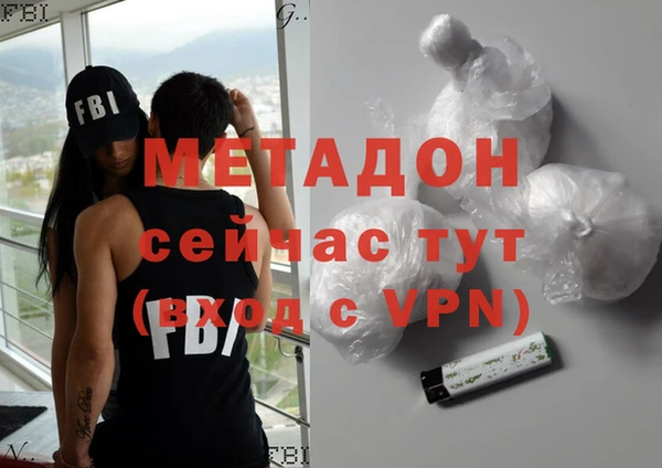 индика Елабуга