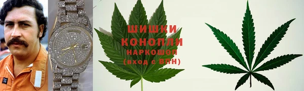 индика Елабуга