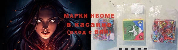 ПСИЛОЦИБИНОВЫЕ ГРИБЫ Ельня