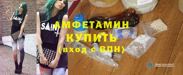 индика Елабуга