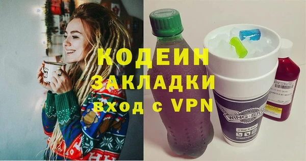 ПСИЛОЦИБИНОВЫЕ ГРИБЫ Ельня