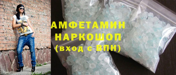 индика Елабуга