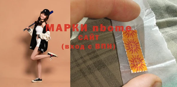 ПСИЛОЦИБИНОВЫЕ ГРИБЫ Ельня