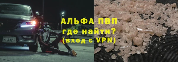 индика Елабуга
