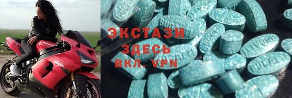 индика Елабуга